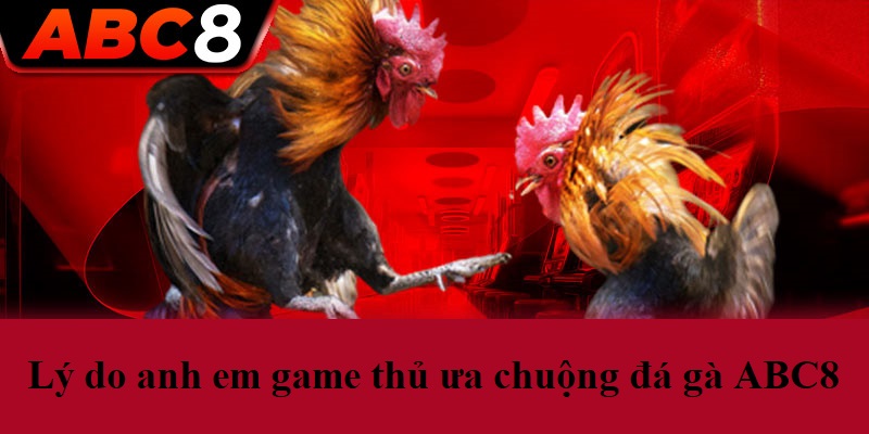 Lý do anh em game thủ ưa chuộng đá gà ABC8