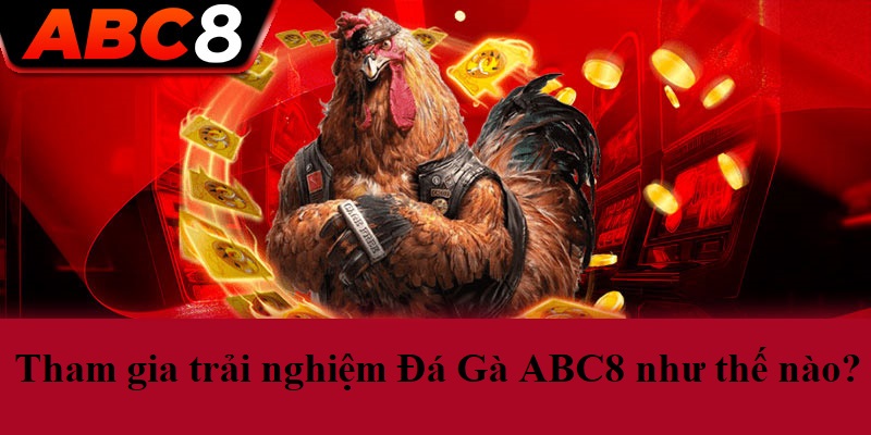 Tham gia trải nghiệm Đá Gà ABC8 như thế nào?